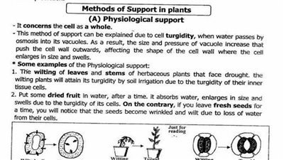 أقوى المراجعات النهائية لمادة الجيولوجيا لغات للثانوية العامة