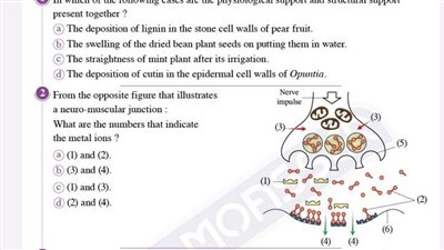 3 اختبارات فى الاحياء لغات لن يخرج عنهم امتحان الثانوية العامة