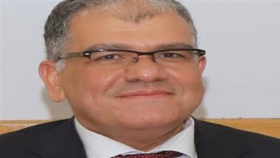 عميد زراعة القاهرة يكشف التفاصيل الكاملة بشأن بحث اللحوم المغشوشة المجمدة