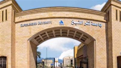 جامعة كفرالشيخ تنظم برنامجًا تدريبيًا عن كيفية التعامل مع الإيذاء البدني والتحرش