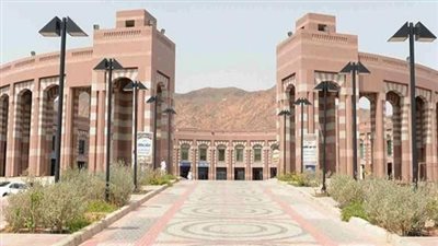 منحة جامعة طيبة للحصول على البكالوريوس.. التخصصات المتاحة والشروط