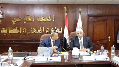 التعليم العالي: أبحاث 