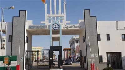 بروتوكول تعاون لإنشاء مركز إبداع مصر الرقمية 