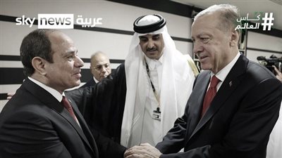 أردوغان: لقائي مع الرئيس السيسي استغرق 45 دقيقة