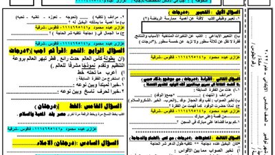 امتحان شهر نوفمبر لغة عربية للسادس الابتدائى.. يضمن لك التفوق 