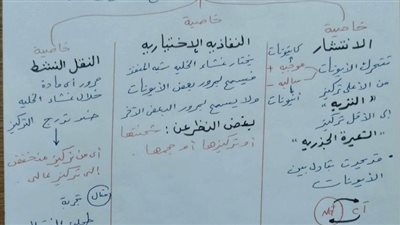 مراجعة احياء لثانية ثانوى فى 4 ورقات.. الخلطة السحرية للحصول على 100%