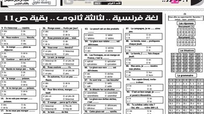 الخلطة السحرية فى اللغة الفرنسية من ملحق الجمهورية للثانوية العامة
