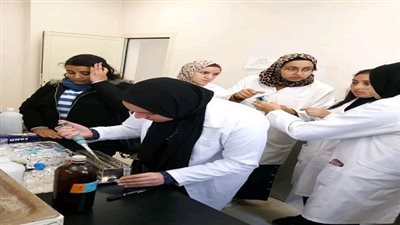 التعليم العالي: مدينة الأبحاث العلمية تنظم المدارس الشتوية لتدريب طلاب الجامعات المصرية