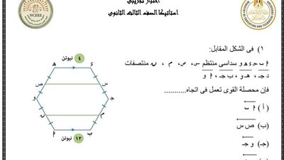 نموذج الوزارة الاسترشادى فى الاستاتيكا للثانوية العامة 2023