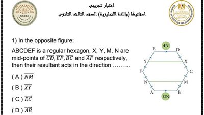 نموذج الوزارة الاسترشادى فى الاستاتيكا لغات للثانوية العامة 2023