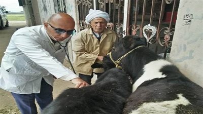 جامعة الزقازيق توجه قافلة بيطرية لقرية الديسة مركز أبوحماد بالشرقية