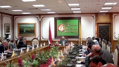 مجلس جامعة المنيا يقرر زيادة بدل الانتقال للعاملين ودراسة لتعزيز التعليم التفاعلي