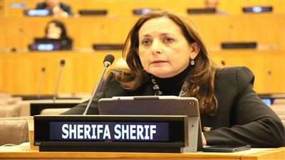 المدير التنفيذي للمعهد القومي للحوكمة والتنمية المستدامة تشارك في الدورة الـ 22 للجنة بورقتي عمل 