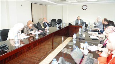 نائب وزيرة التخطيط يرأس اجتماع الأمانة الفنية لمتابعة تنفيذ أهداف التنمية المستدامة في مصر