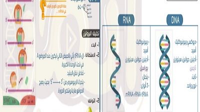 الخلطة السحرية فى الاحياء للثانوية العامة فى 21 ورقة.. اوعى تفوتها