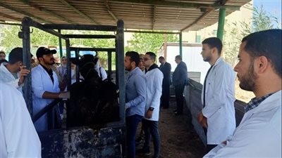 رئيس جامعة كفرالشيخ يستقبل فريق الهيئة القومية لضمان جودة التعليم والاعتماد لتجديد اعتماد كلية الطب البيطري