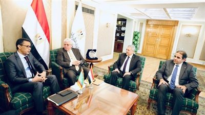 ايمن عاشور: تقديم كل الدعم للأشقاء الموريتانيين فى المجالات التعليمية والبحثية