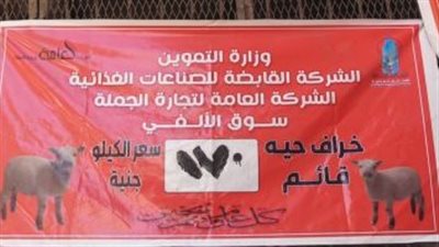 التموين: طرح خرافا حية للأضاحي بسعر 170 جنيها للكيلو القائم
