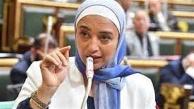 النائبة أميرة أبوشقة لـ