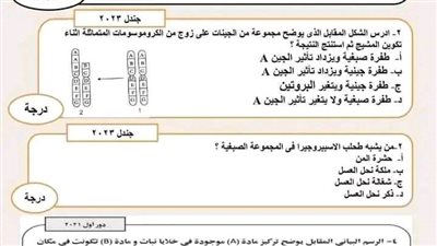 صناعة الأوائل.. نموذج محاكاة لامتحان الاحياء للثانوية العامة 2023 