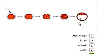 240 سؤالا من منصة نجوى فى مادة الاحياء للثانوية العامة 2023