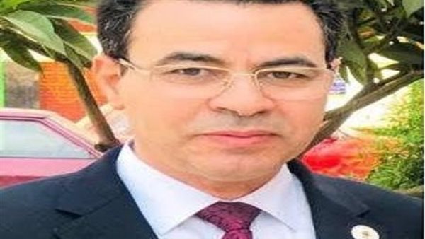 الدكتور محمود عبدالعاطي