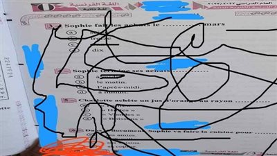 تداول أسئلة امتحان الفرنساوي للثانوية العامة 