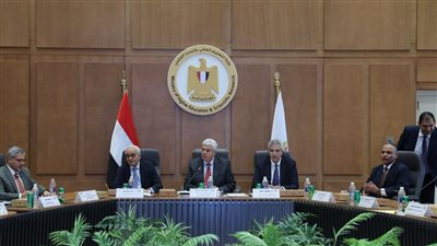 الأعلى للجامعات يبحث تغيير مسمى كليات التربية الرياضية إلي