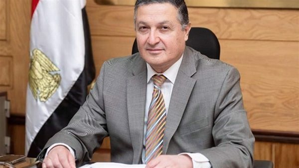 الدكتور ناصر الجيزاوى