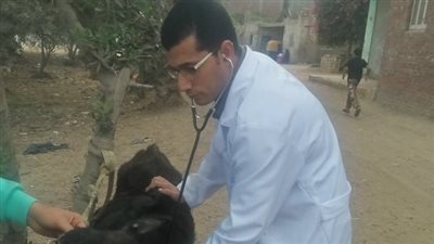 جامعة الزقازيق توجه قافلة بيطرية لقرية حسن بيه مركز بلبيس بالشرقية