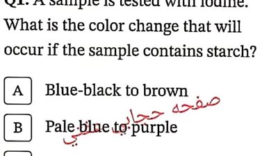 الخلطة السحرية وبنك المعرفة فى احياء لغات لأولى ثانوي