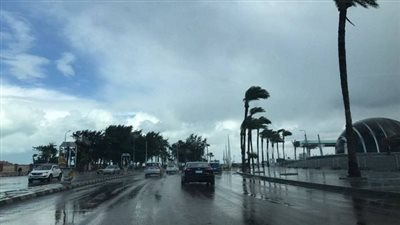 هبوط أمطار واستمرار الشبورة.. تعرف علي حالة الطقس اليوم الخميس 18-1-2024 