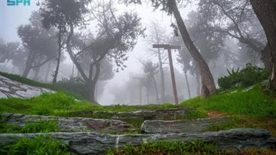 عاجل.. تعليق الدراسة بـ جامعة الطائف وجامعة أم القري اليوم..بسبب السيول والرياح والصواعق الرعدية 