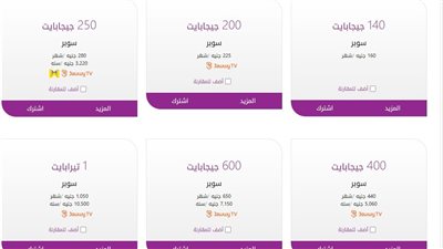 رسميا.. الجهاز القومي لتنظيم الاتصالات يوافق على زيادة أسعار خدمات المحمول والإنترنت