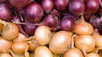تراجع في سعر كيلو البصل بسوق العبور.. اليوم الأحد 7-1-2024