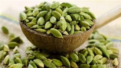 عشبة نباتية تمتلك 10 فوائد للجسم.. أبرزها حماية القلب من الأمراض