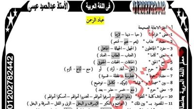 22 ورقة تحصل على 100% في نصوص الشهادة الاعدادية