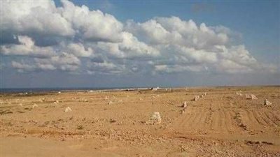 موعد إجراء القرعة العلنية لتسكين العملاء بالأراضي بعد توفيق أوضاعها بـ