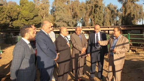 رئيس جامعة أسيوط