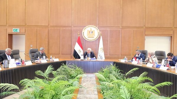 الدكتور أيمن عاشور