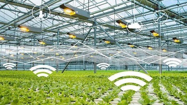 هيئة الاستشعار من