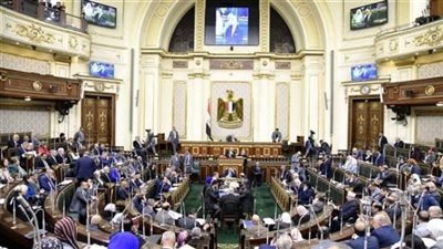 مجلس النواب يناقش رفع رسوم استخراج جواز السفر.. غدا