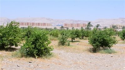 رئيس جامعة سوهاج يشيد بمنتجات وحدتي الإنتاج الحيوانى والزراعي بكلية الزراعة