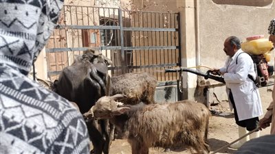 أخبار الجامعات.. ٥٦٠ حالة حصاد قافلة جامعة الزقازيق اليوم بقرية أولاد سيف 