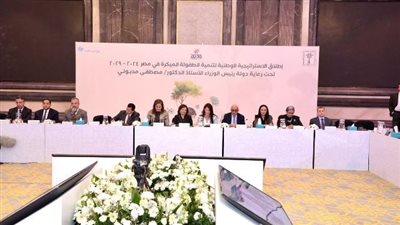 وزير التعليم يشارك في فعاليات إطلاق المجلس القومي للطفولة والأمومة للاستراتيجية الوطنية لتنمية الطفولة 