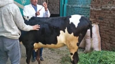 جامعة الزقازيق توجه قافلة بيطرية لقرية عزبة البحر مركز الزقازيق بالشرقية