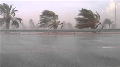 7 نصائح من لمواجهة المضاعفات الصحية نتيجة التقلبات الجوية.. خاصة حساسية الصدر