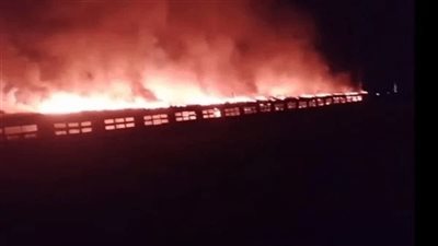 نفوق 5 آلاف كتكوت.. المعاينة الأولية تكشف ملابسات حريق مزرعة دواجن بأكتوبر