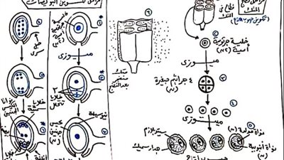 مراجعات نهائيه.. 25 رسمة لن يخرج عنهم امتحان آخر العام في الاحياء لـ الثانوية العامة