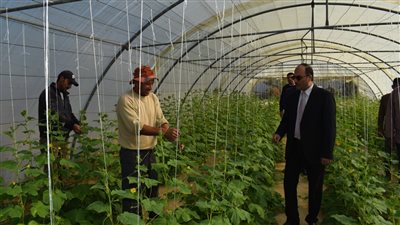 رئيس جامعة العريش يشيد بأهمية دور المزرعة الإنتاجية في تحقيق الأمن الغذائي